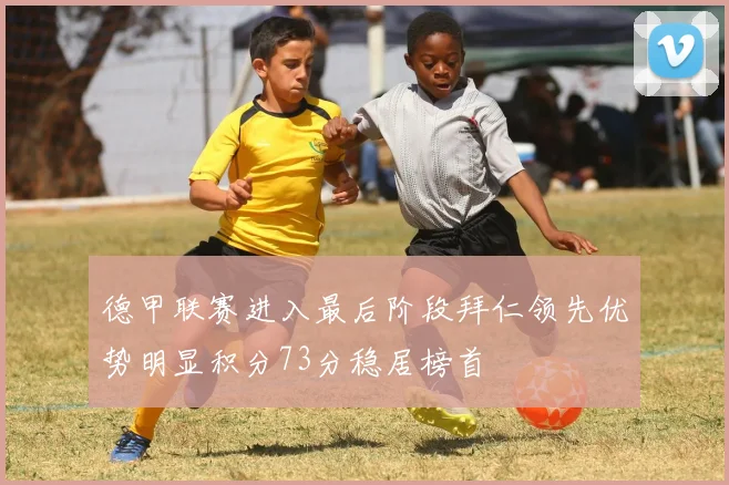 德甲联赛进入最后阶段拜仁领先优势明显积分73分稳居榜首